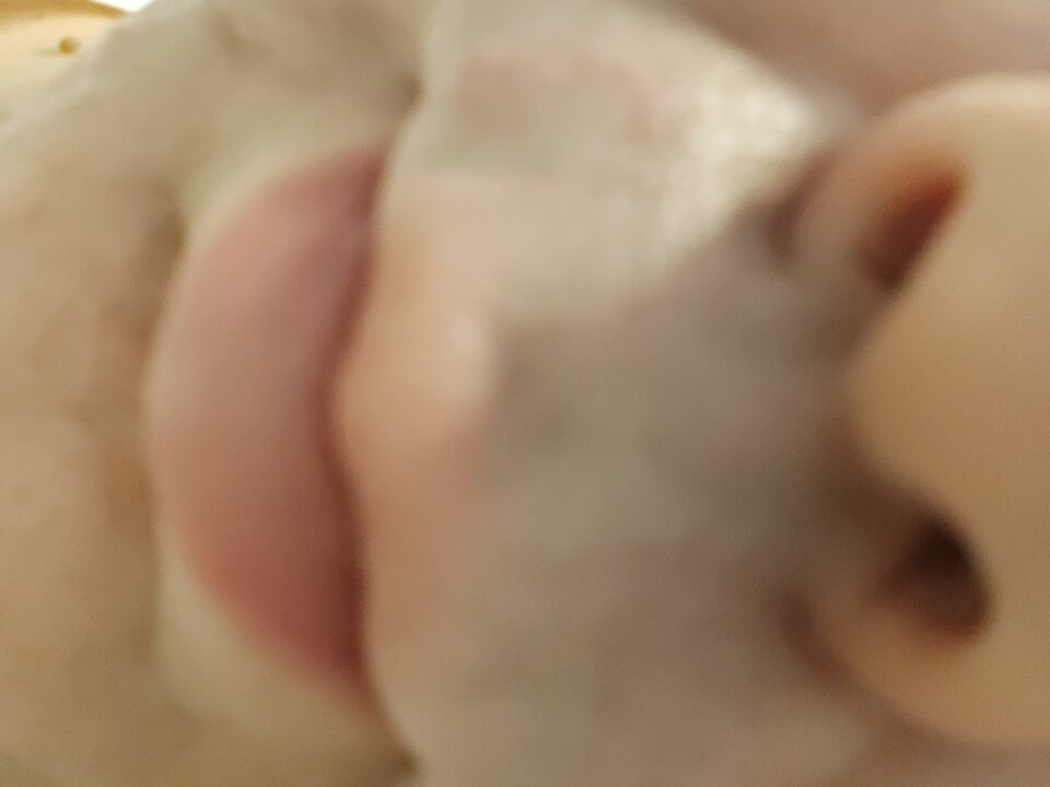 20200824_161349.jpg - gerard696