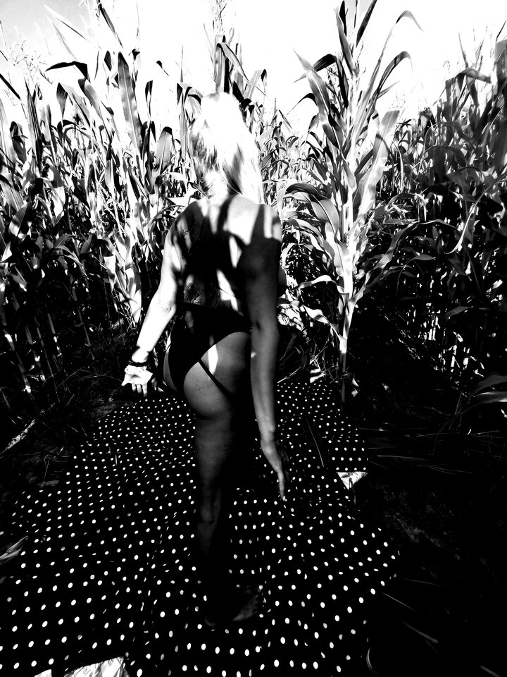 IMG_20200824_212716.jpg - PervertedBees