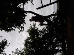 20200825_160430.jpg