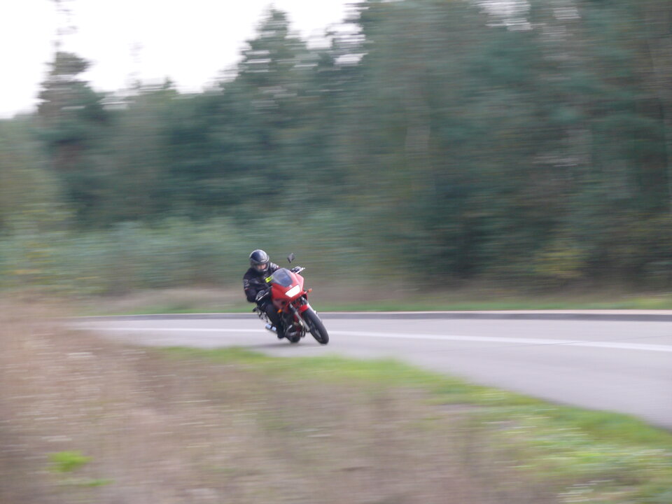 P1310958.JPG - Lukasz600