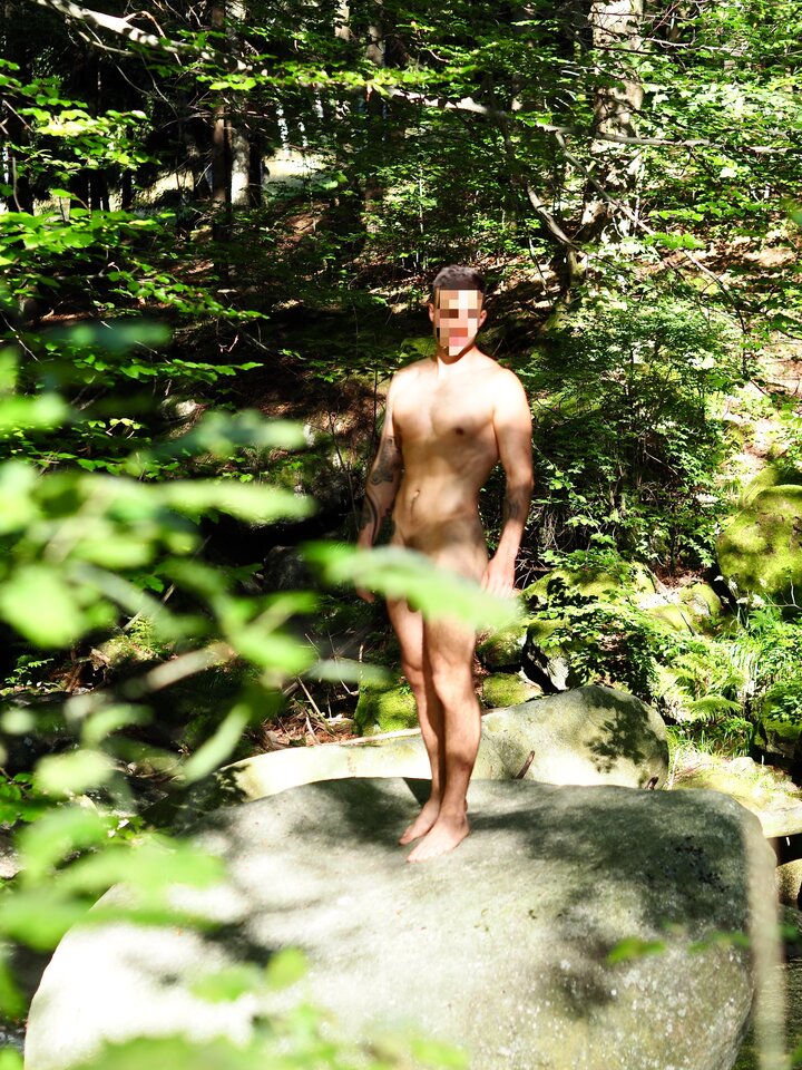 NiesforneLiście.jpeg - Parrots