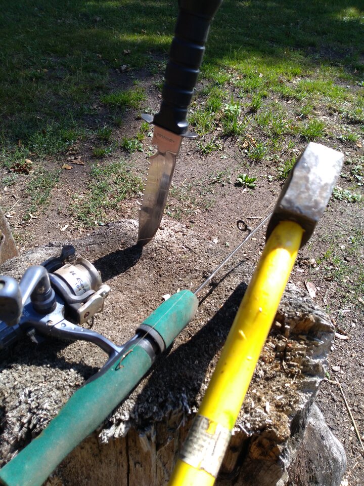 IMG_20200825_124835.jpg - mrko