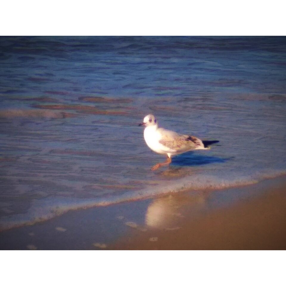 IMG_20200826_075250.jpg - markonii35