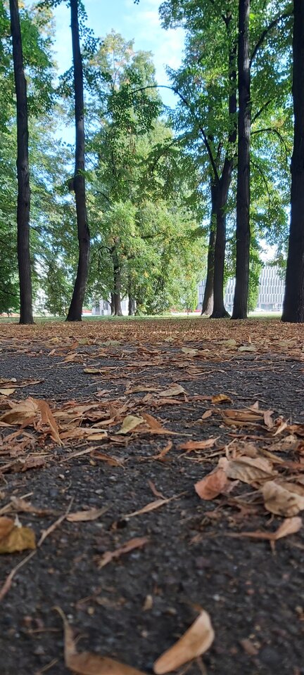 20200826_093508.jpg - bielanczyk29