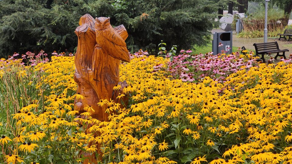 6.jpg - MaciekBoribos