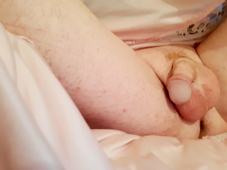 15985563975564731307020338101054.jpg - Palciusia