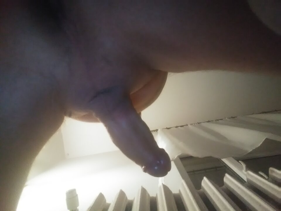 159855825237285704727.jpg - tomcio31