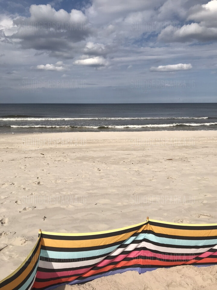 31A11E1E-0156-4315-9AB3-AEEF8F289482.jpeg - swingersparkajg