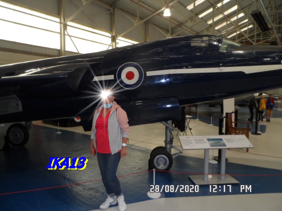 SAM_2926.JPG - ika13