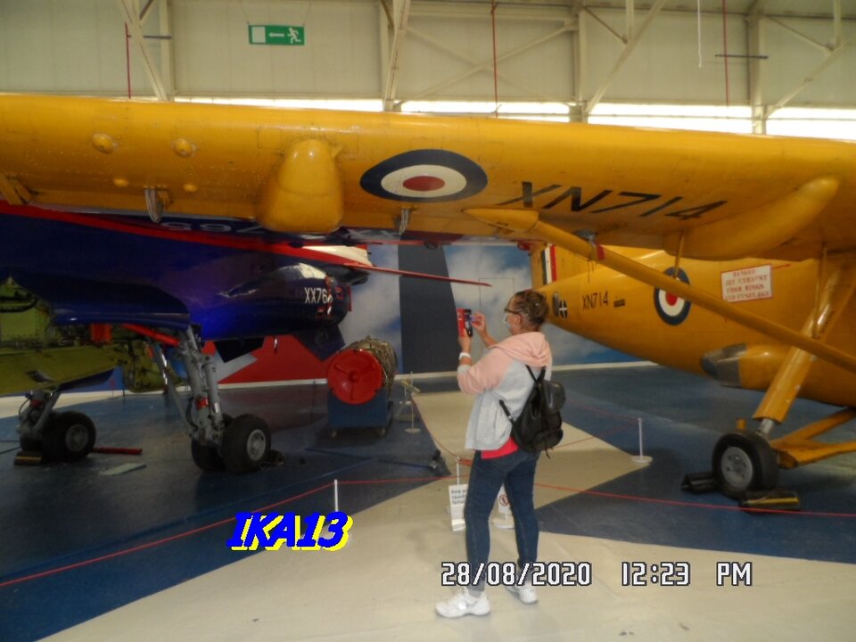 SAM_2931.JPG - ika13