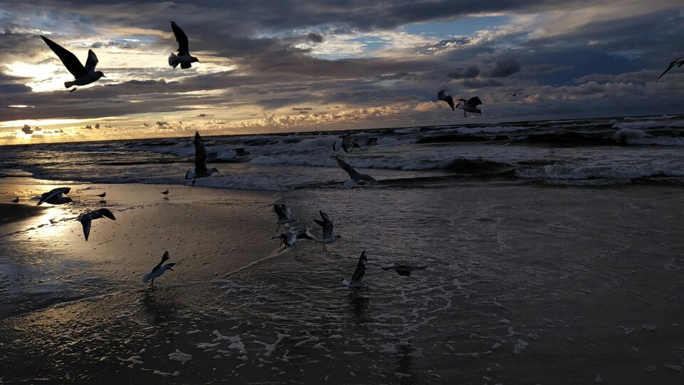 Wspomniania... - krzysexlove