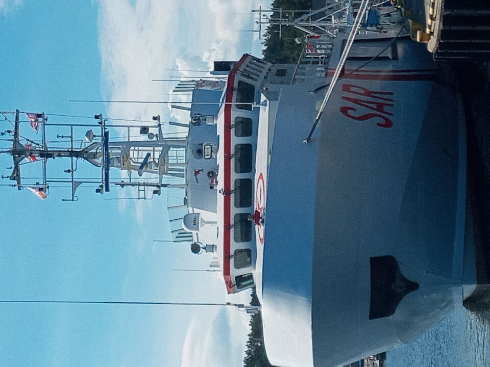 20200830_123031.jpg - Mrowka72