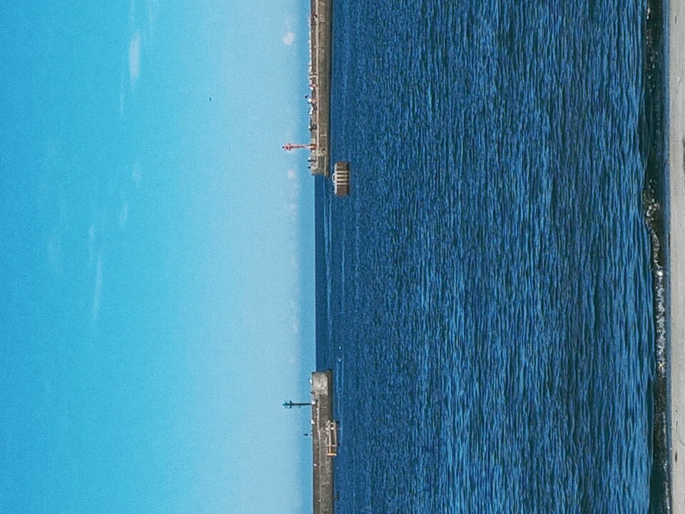 20200830_122646.jpg - Mrowka72