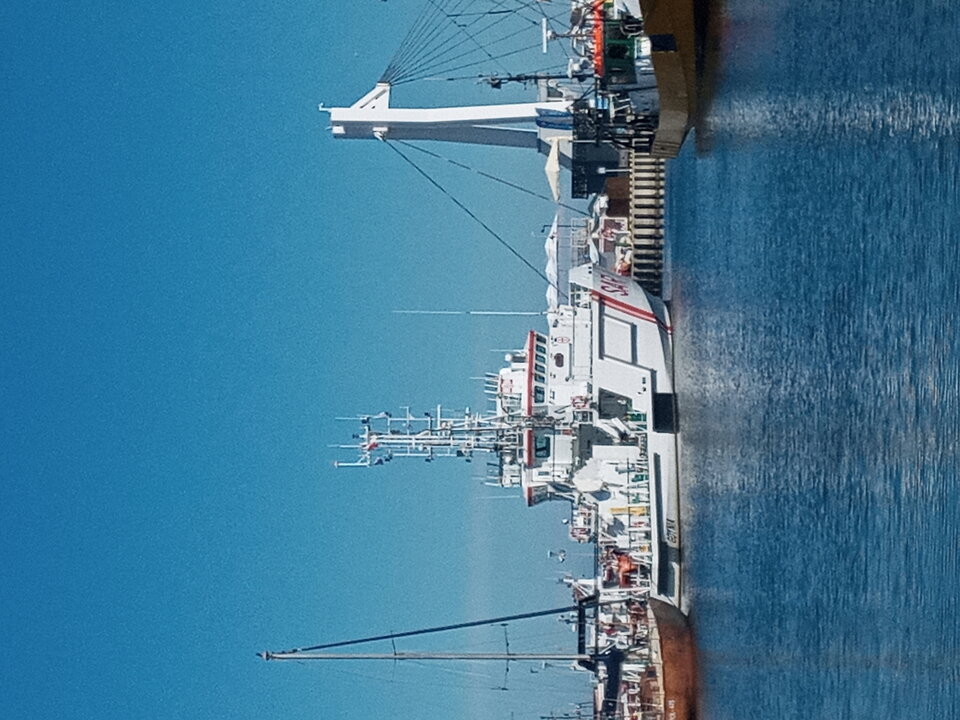 20200830_122126.jpg - Mrowka72