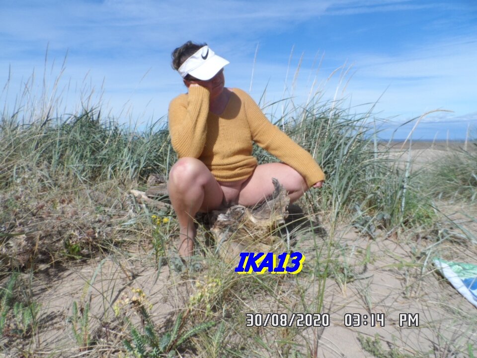 SAM_2981.JPG - ika13
