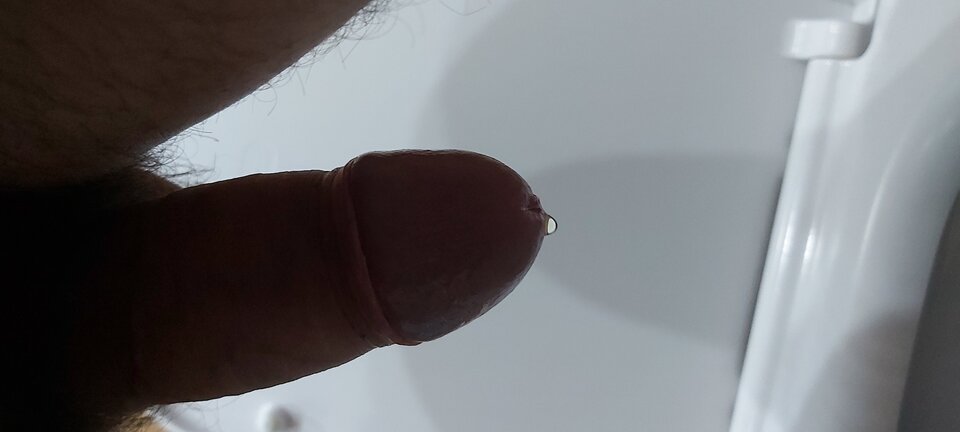 15988984080827412809085473076528.jpg - Kukuuuk