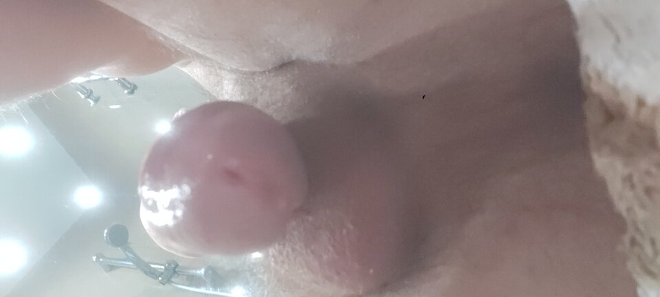 15988986011939158314591121761466.jpg - Kukuuuk