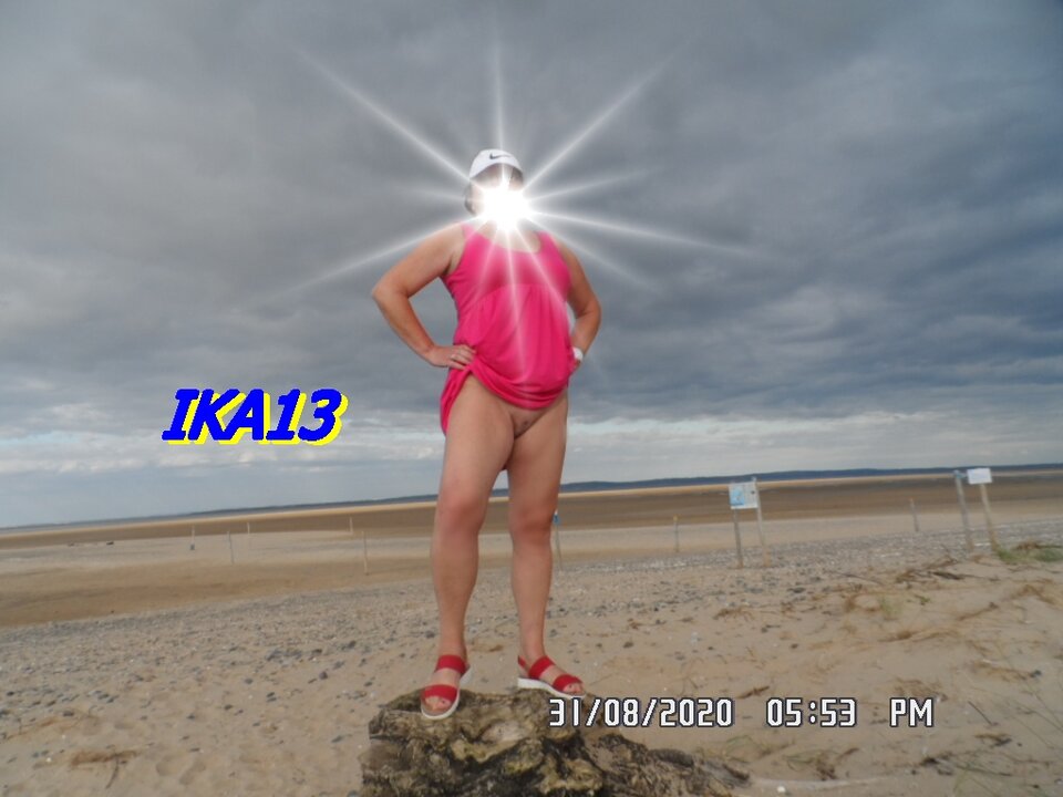 SAM_3004.JPG - ika13