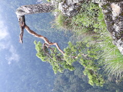 20200717_113906.jpg