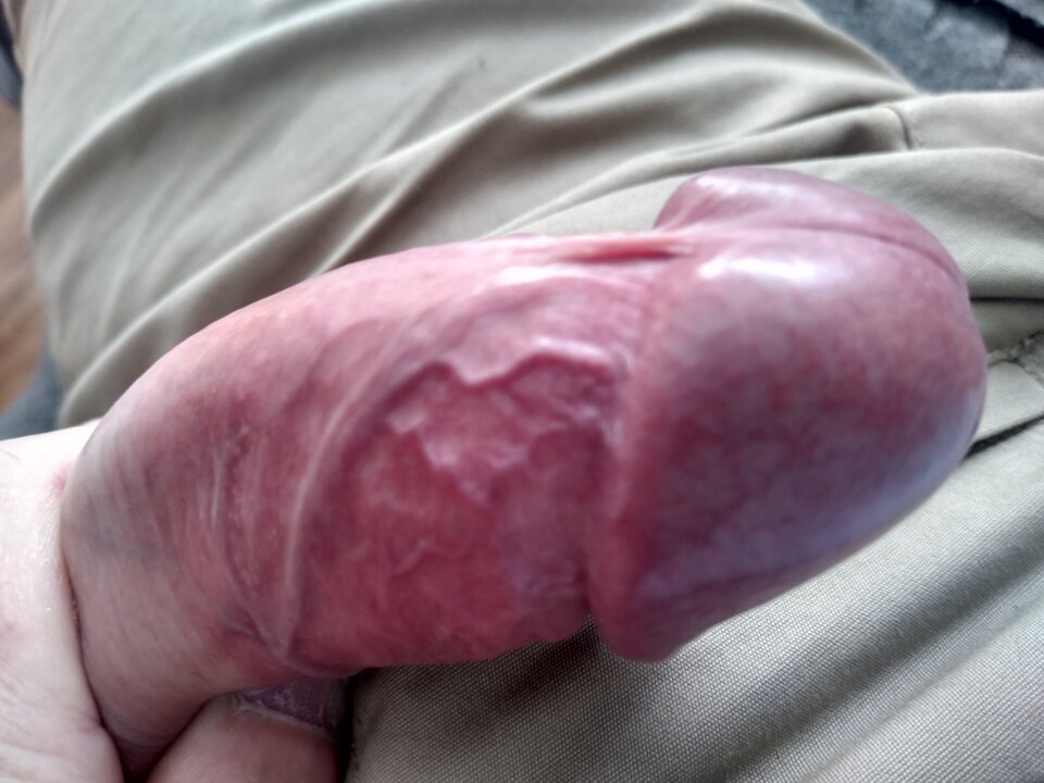 15990545089377086891809071072004.jpg - twoeyes