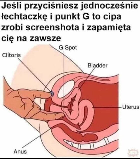 😎😎😎 - Mlody_Gdansk