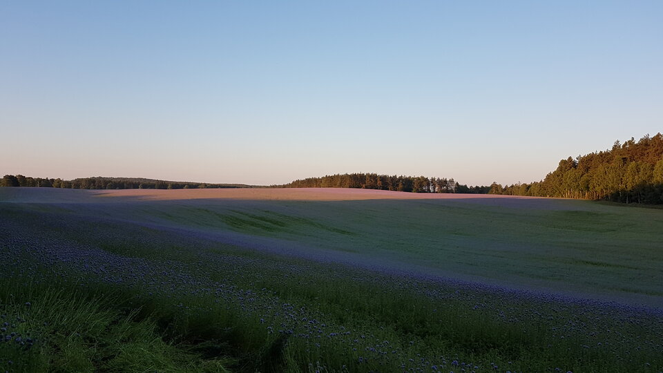 20200617_050620.jpg - noquopot1