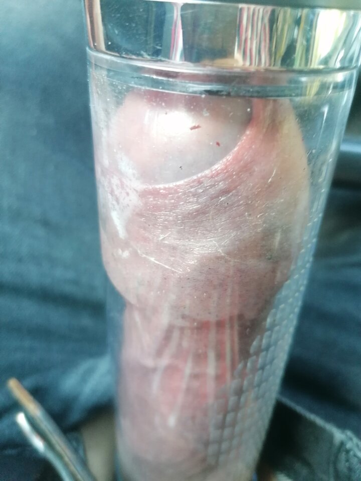 IMG_20200904_082919.jpg - RATCVAC