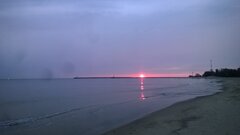 WP_20200904_048.jpg