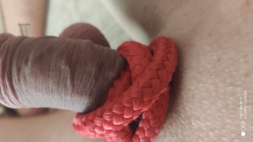 IMG_20200905_142210.jpg - KoteczekPsoteczek