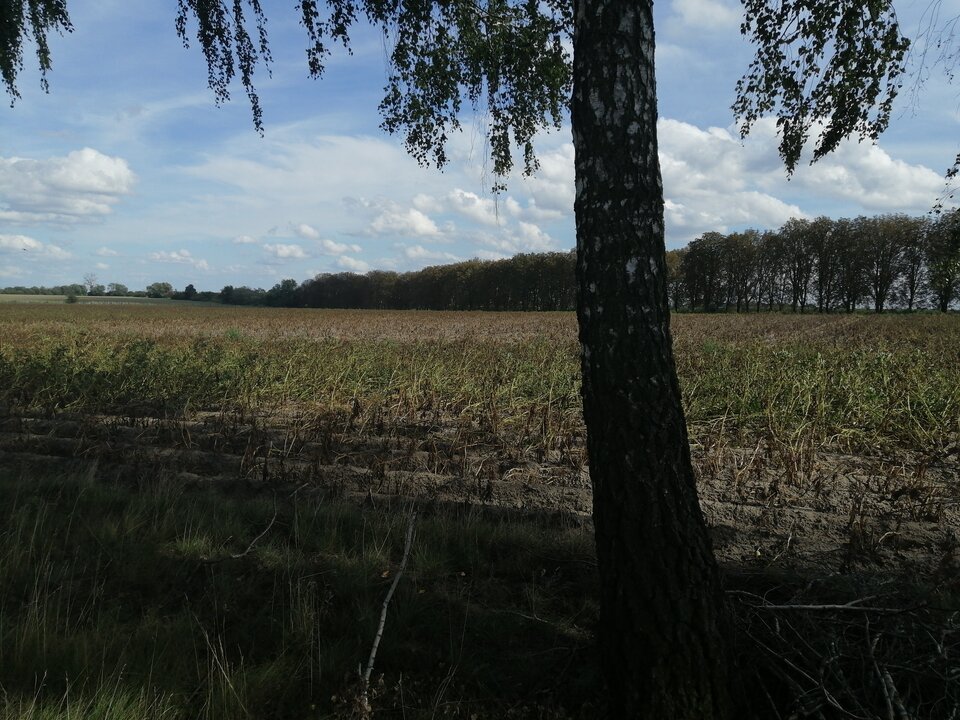 15993975168622220961775015562348.jpg - NieprzecietnyGosc89