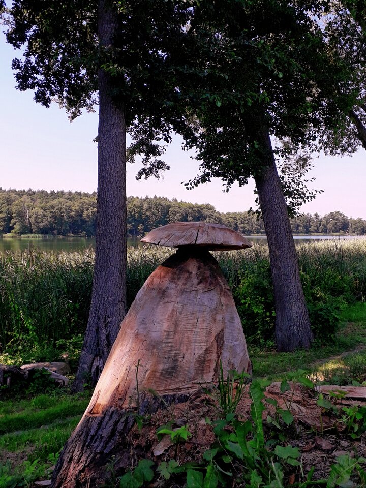 20200905_125904.jpg - Alien65