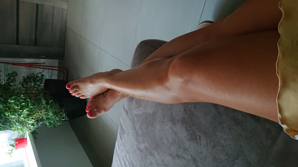 15994142878702133513739265329913.jpg - parkanl