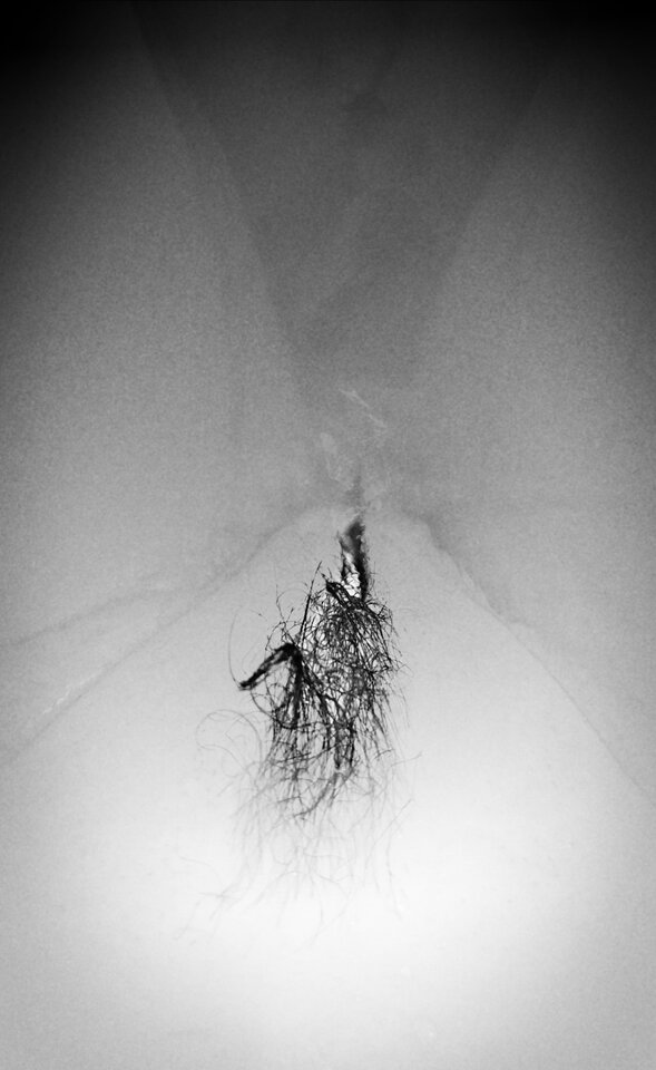 IMG_20200907_103839_604.jpg - MBSL