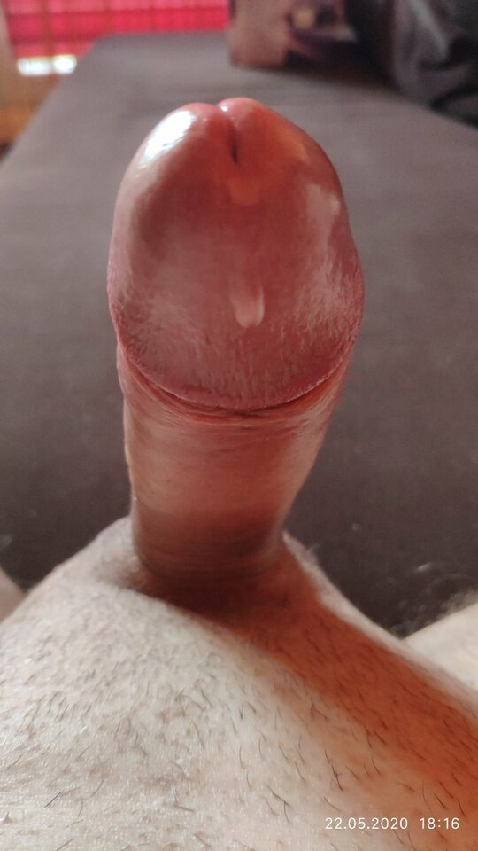 big_16f0ab7ae483490b61062137841ac25f.jpg - Tomiiiex