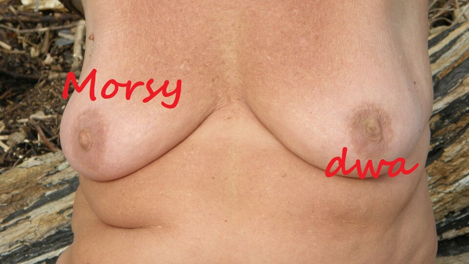 Dzisiejszy wypad nad morze ! - Morsy_dwa