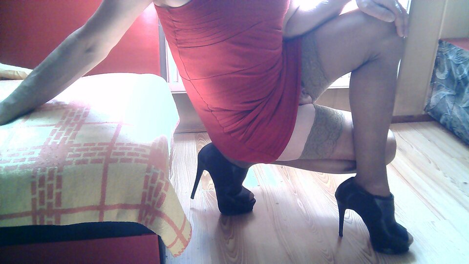 WIN_20200908_12_25_48_Pro.jpg - TransPatusia