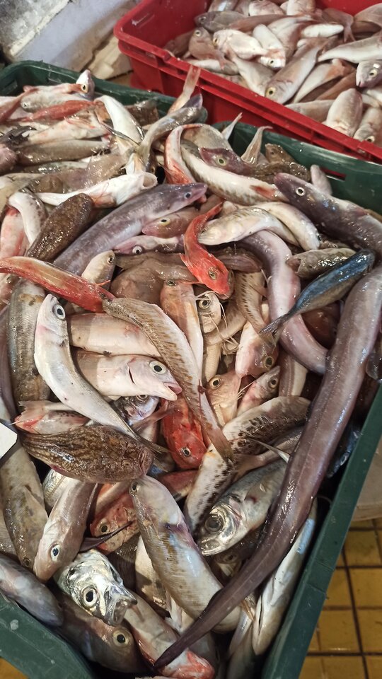 IMG_20200907_092413.jpg - wzwodnik1