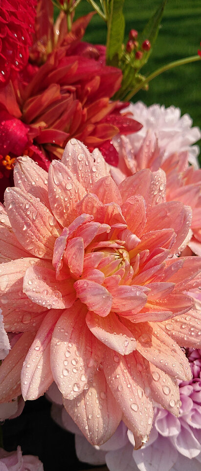 04_Taken_with_Xperia.jpg - Karolsun38