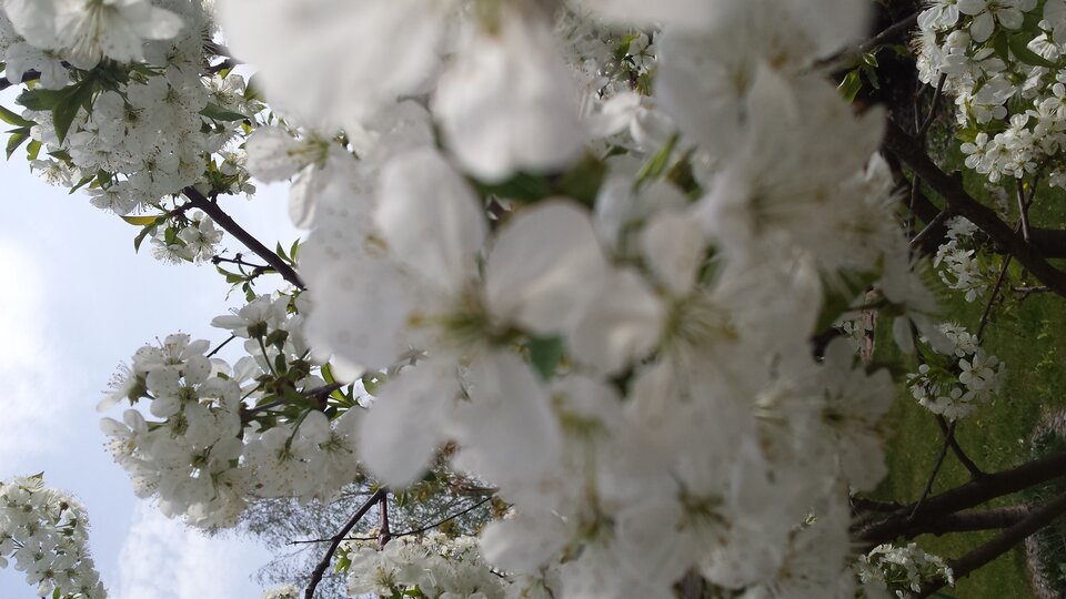 20190424_130253.jpg - Karolsun38