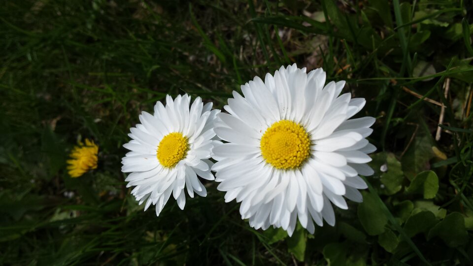 20190424_130421.jpg - Karolsun38