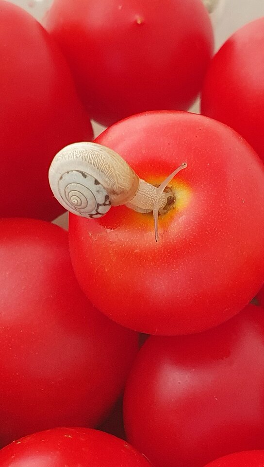 20200909_082950.jpg - rednblack