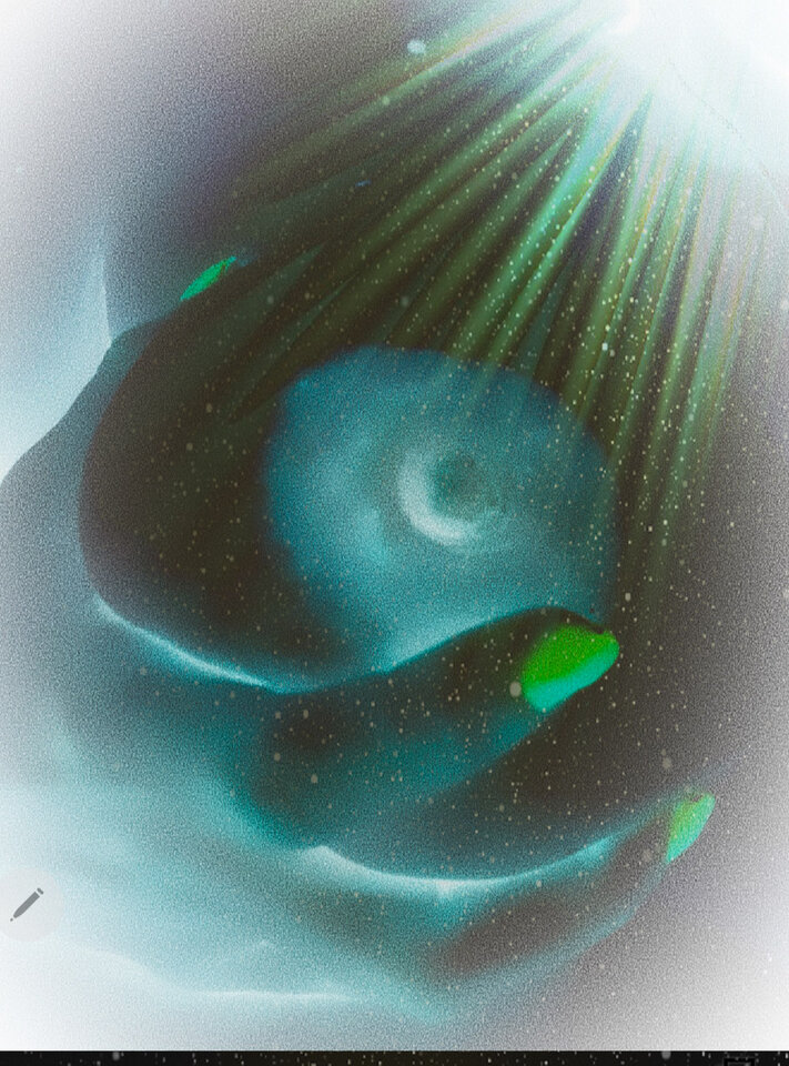 00910_162020.jpg - MBSL