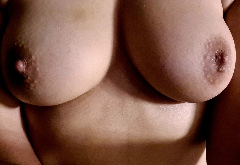 94C0A580-5E44-4A9F-AFE1-6593BCDC54A1.jpeg - Barben