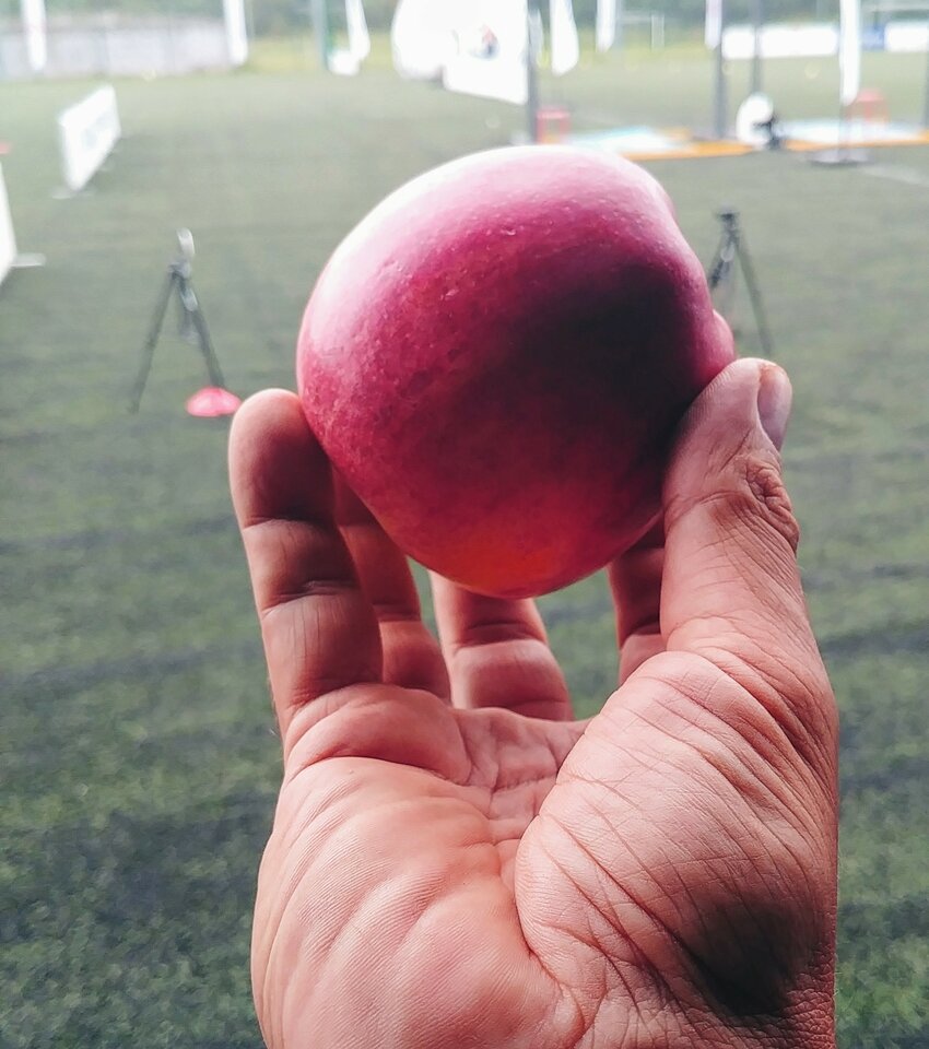 20200823_090454_HDR~2.jpg - NauczeCieLatac