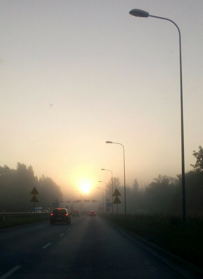 IMG_20200911_071905_535.JPG - wstydliwa0