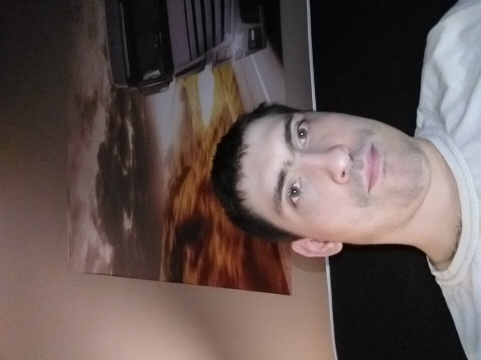 15998438568574676242258172748801.jpg - bartek1191