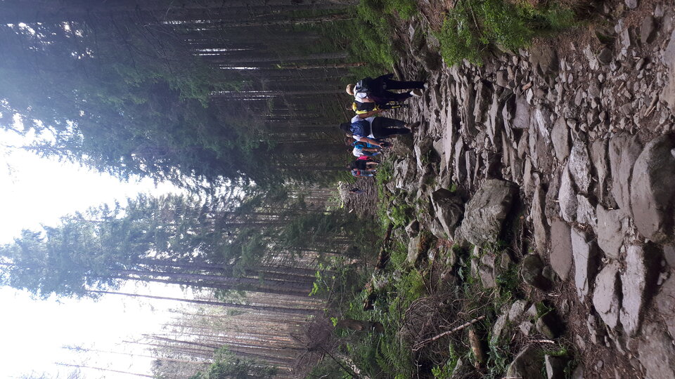 20200911_141600.jpg - OnaDlaNiegoWawa30