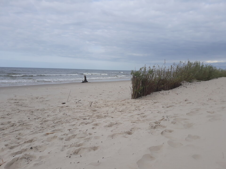 20200911_155516.jpg - bokstel33