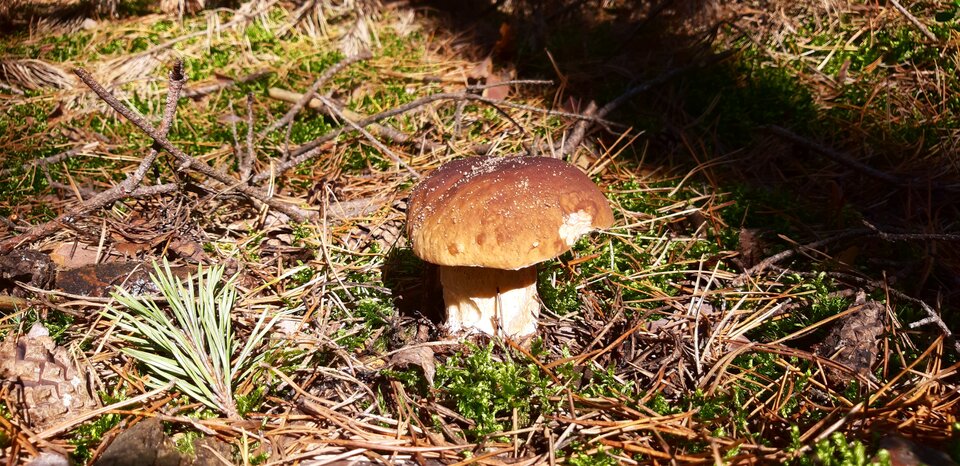 20200912_105050.jpg - aga124