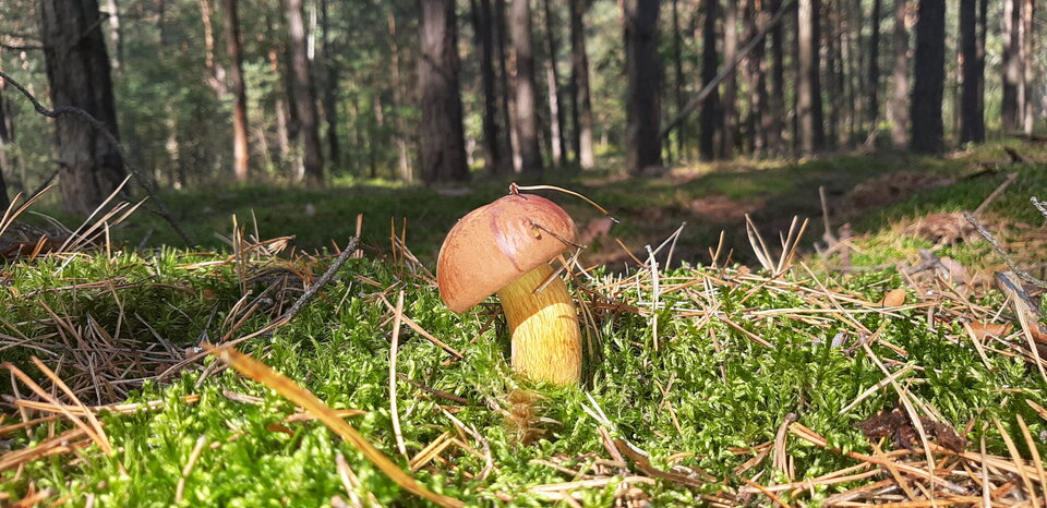 20200912_110159.jpg - aga124